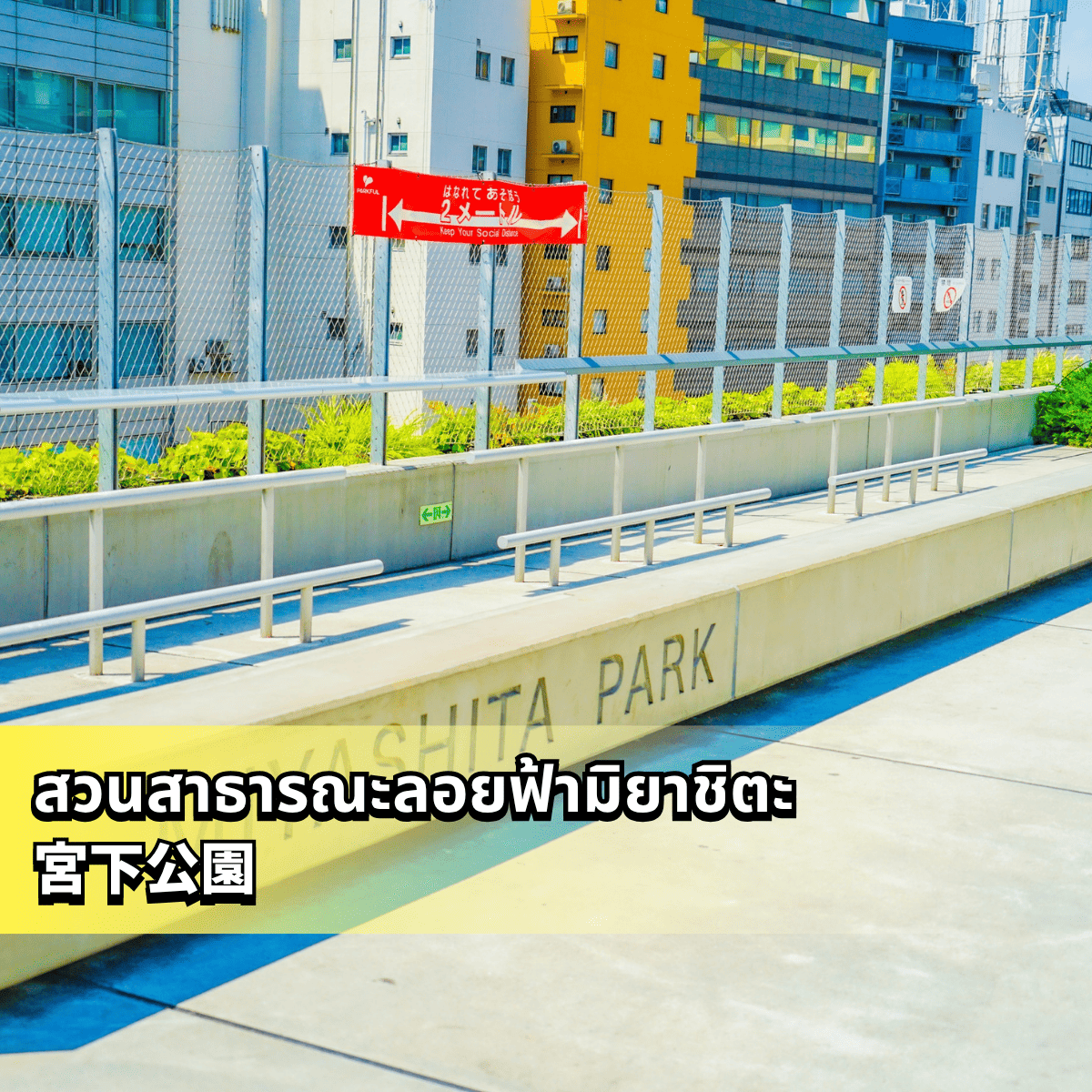 https://www.canva.com/photos/MAGfXCVyv_s/