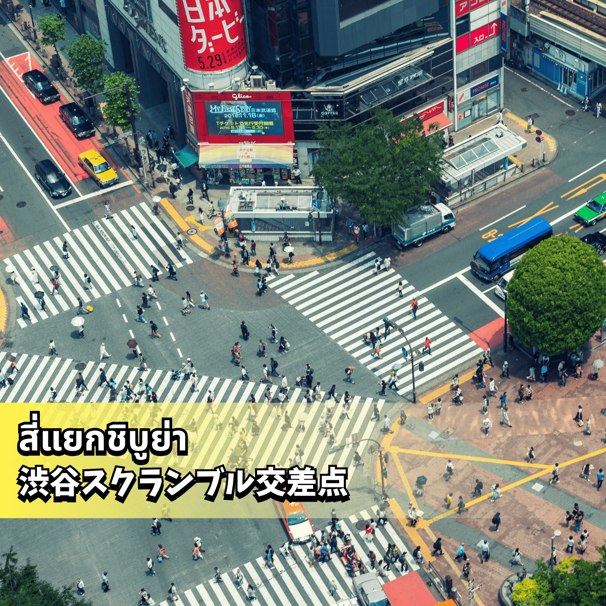 https://www.canva.com/photos/MACDMDlulVo/