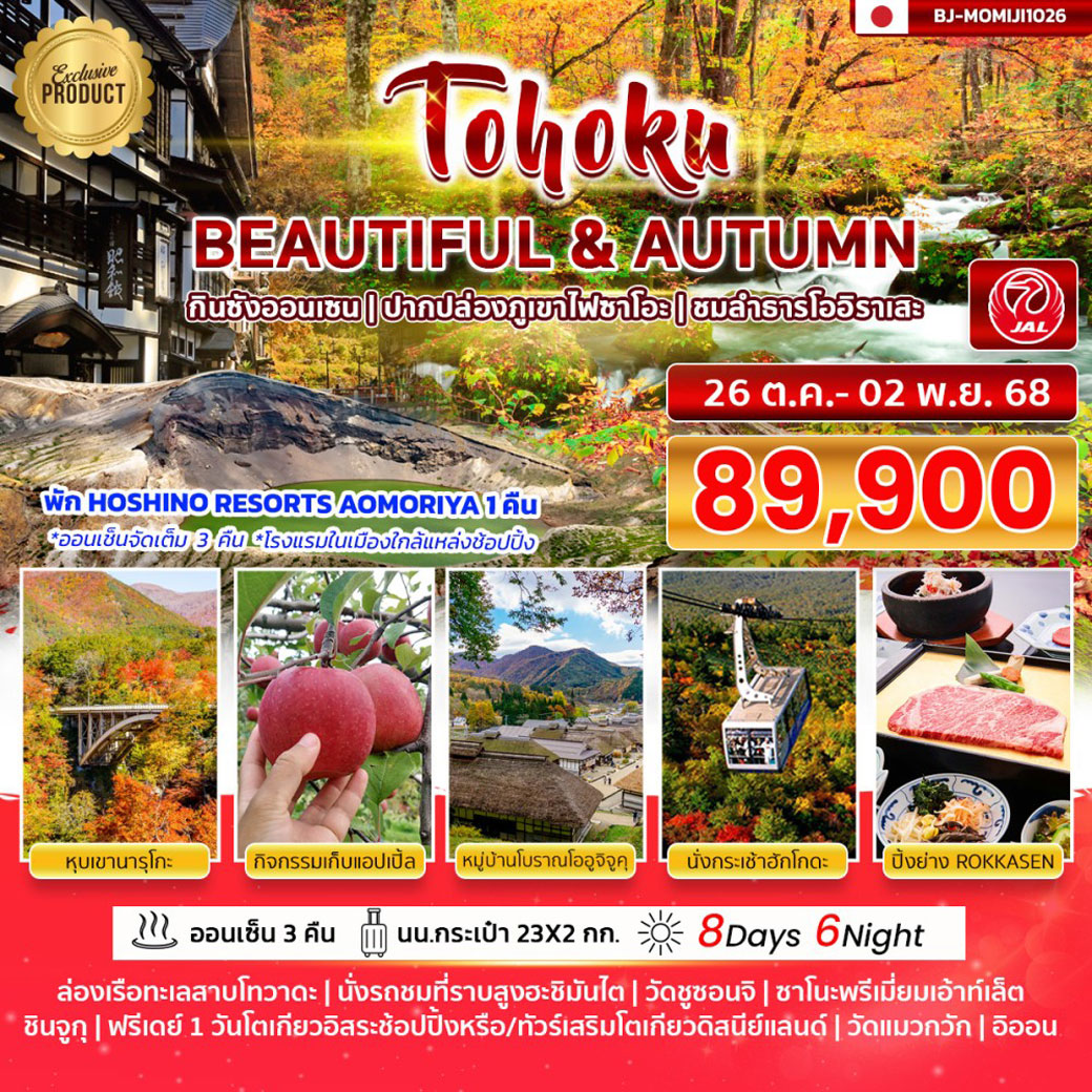 ทัวร์ญี่ปุ่น TOHOKU BEAUTIFUL & AUTUMN 8วัน 6คืน  (JL)