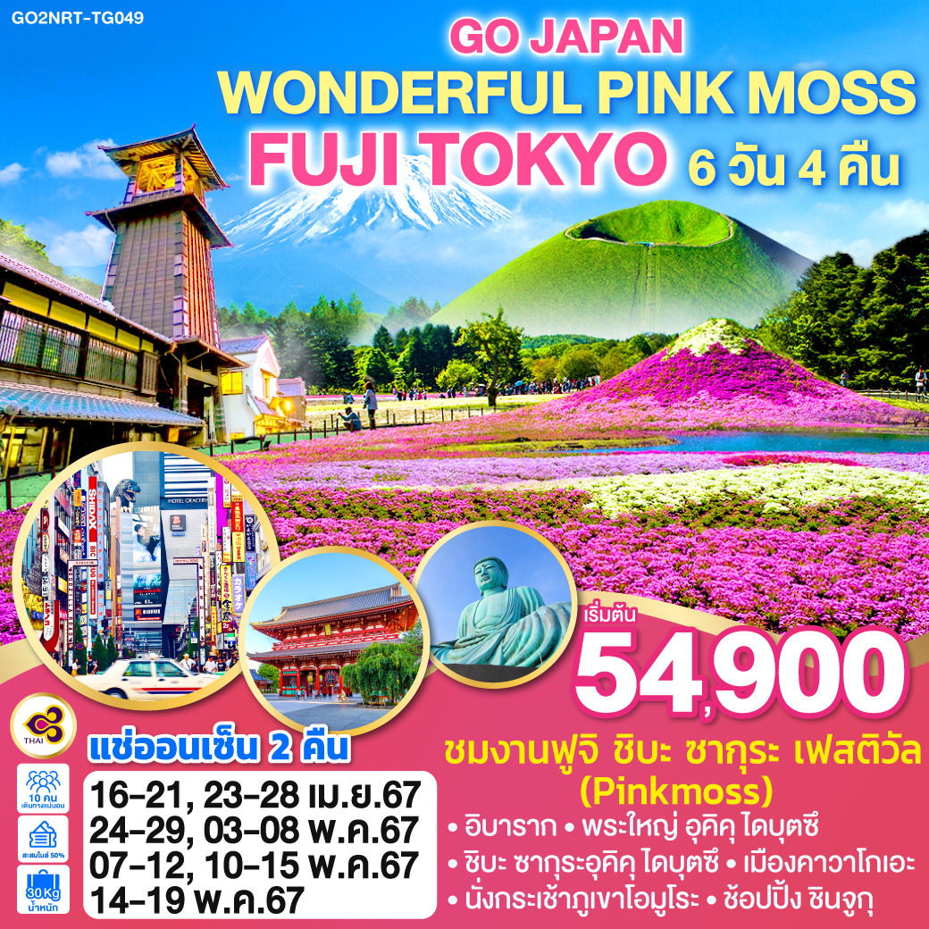 ทัวร์ญี่ปุ่น โตเกียว ฟูจิ GO JAPAN WONDERFUL PINK MOSS FUJI TOKYO 6วัน 4คืน TG