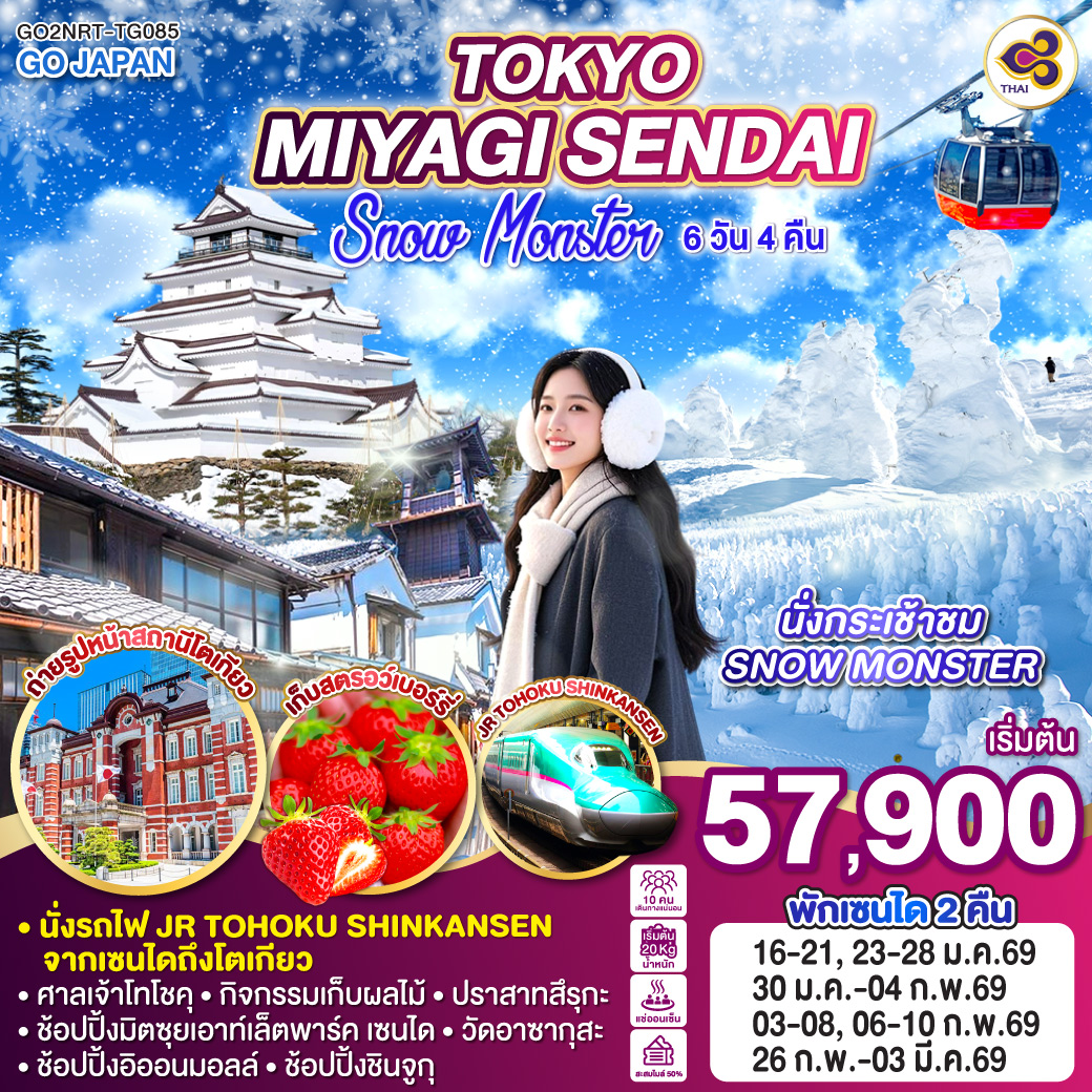 ทัวร์ญี่ปุ่น TOKYO MIYAGI SENDAI SNOW MONSTER 6วัน 4คืน  (TG)