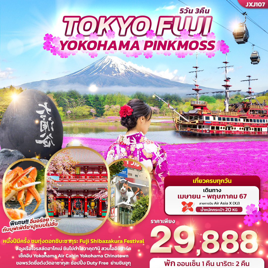 ทัวร์ญี่ปุ่น TOKYO FUJI YOKOHAMA PINKMOSS 5วัน 3คืน (XJ)