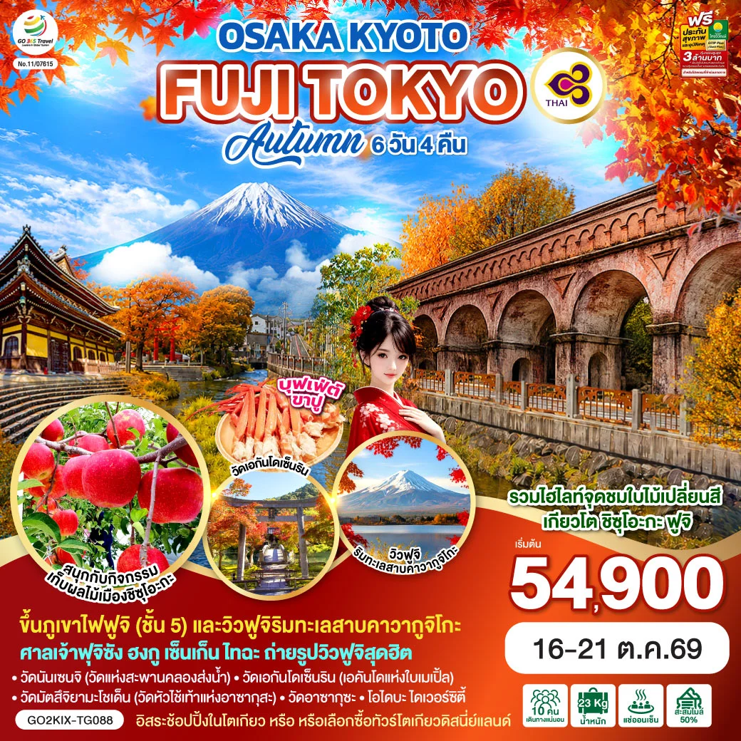 ทัวร์ญี่ปุ่น OSAKA KYOTO FUJI TOKYO AUTUMN FRUIT PARK 6วัน 4คืน (TG)